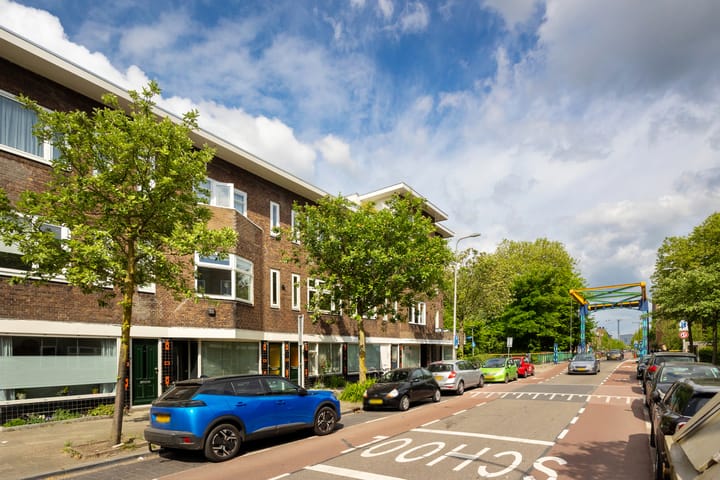 Foto 5 van Laan van Nieuw-Guinea 7-BSA