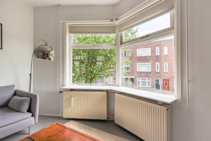 Foto 10 van Laan van Nieuw-Guinea 7-BSA