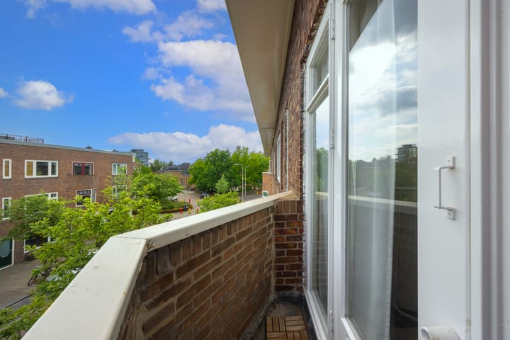 Foto 24 van Laan van Nieuw-Guinea 7-BSA