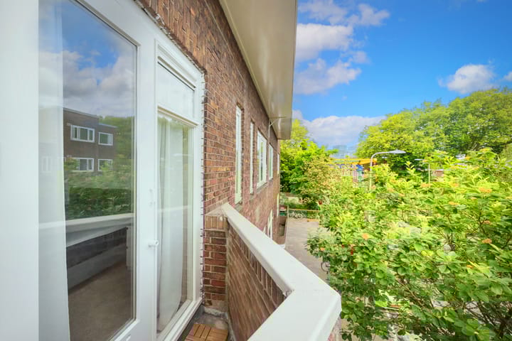 Foto 25 van Laan van Nieuw-Guinea 7-BSA