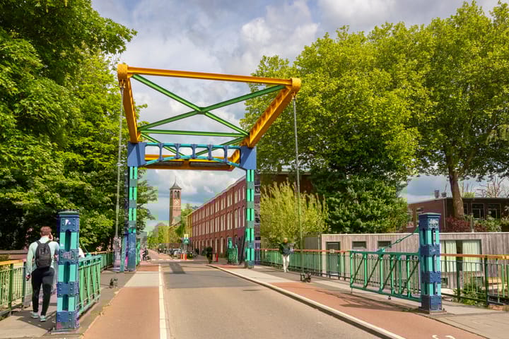 Foto 39 van Laan van Nieuw-Guinea 7-BSA