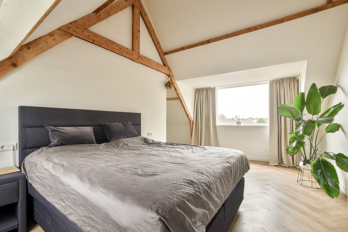 Foto 4 van De Ruijterweg 50