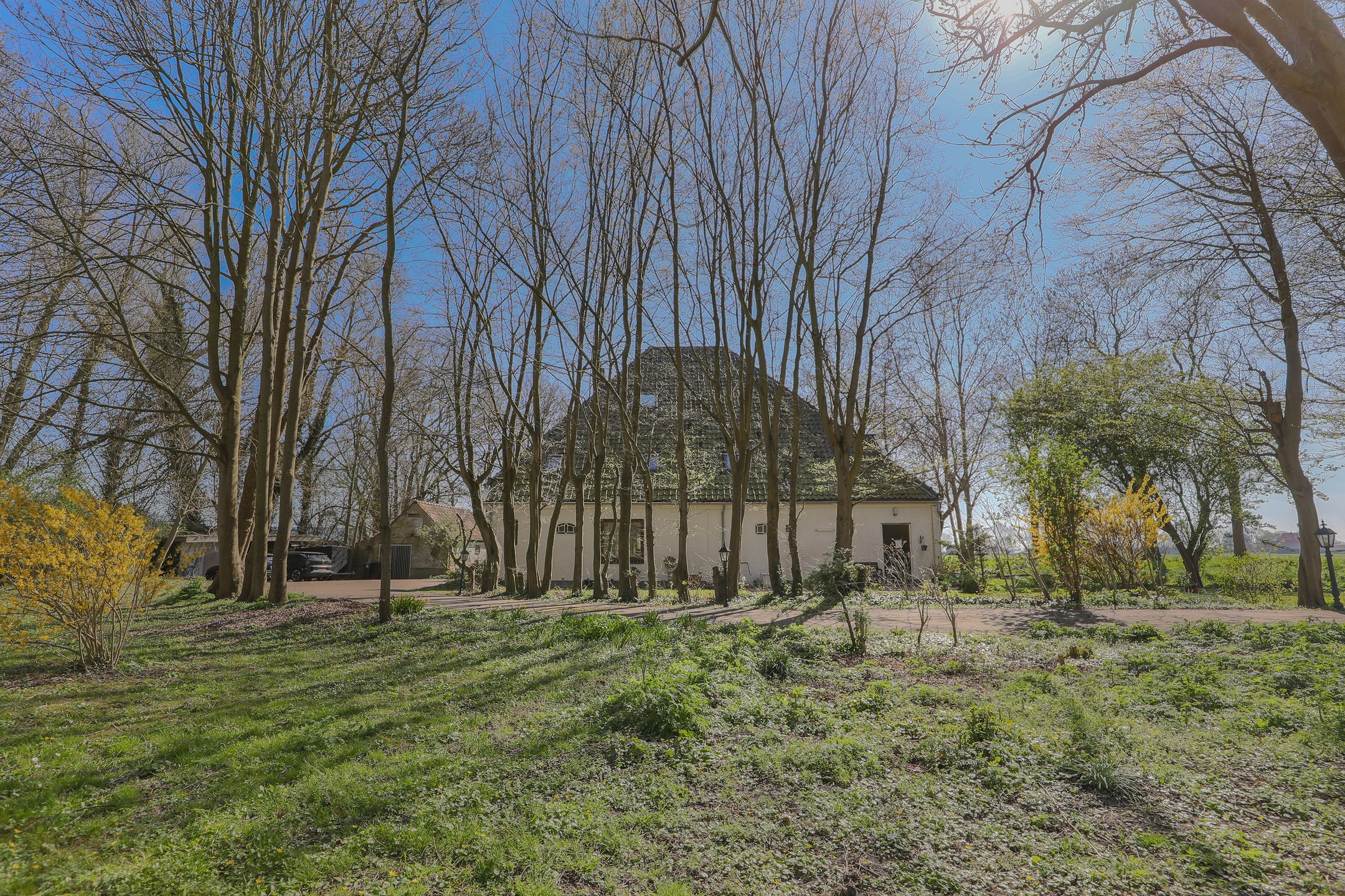 Photo 42 of Blokdijk 1