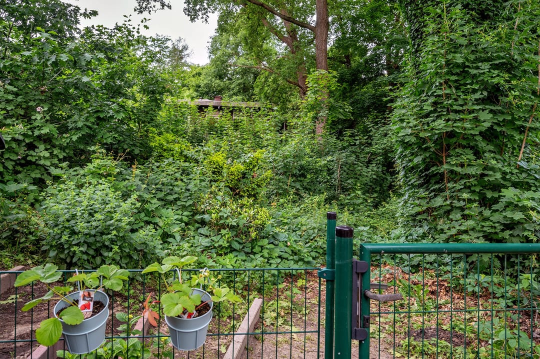 Foto 53 van Kaldenkerkerweg 156