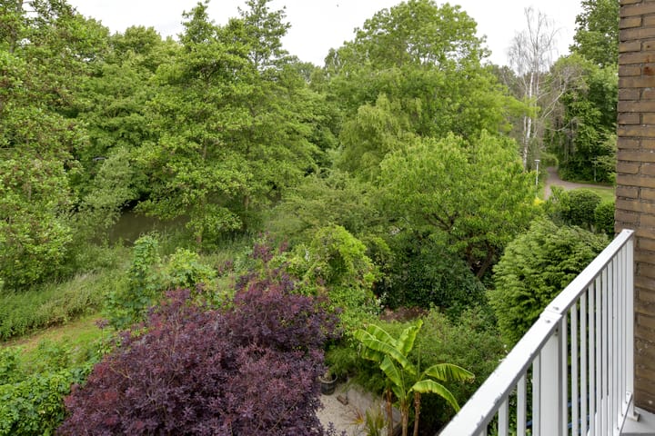 Foto 21 van Basilicumhof 48