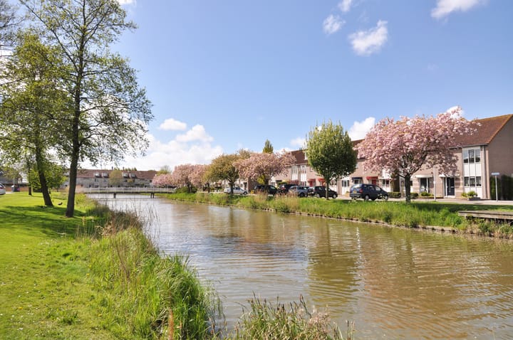 Foto 41 van Kaardebol 2