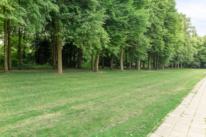 Foto 29 van Forcadentstraat 50-A