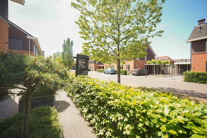 Photo 55 of Claasgoed 3