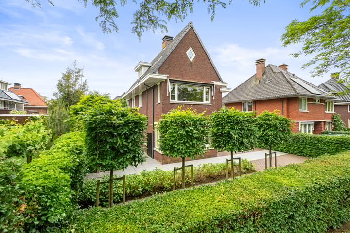 Foto 52 van Romanovhof 42