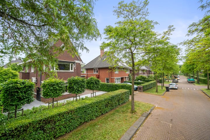 Foto 53 van Romanovhof 42