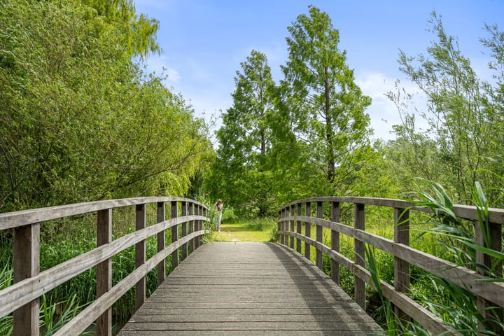 Foto 58 van Romanovhof 42