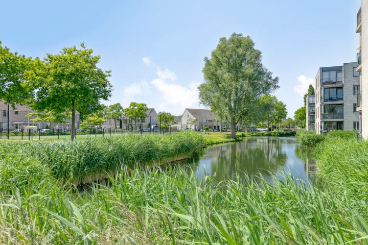 Foto 40 van Papiermolen 6