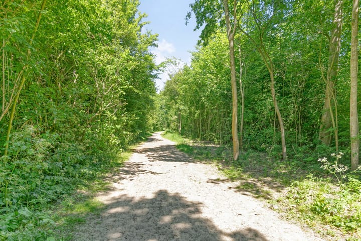 Foto 41 van Papiermolen 6