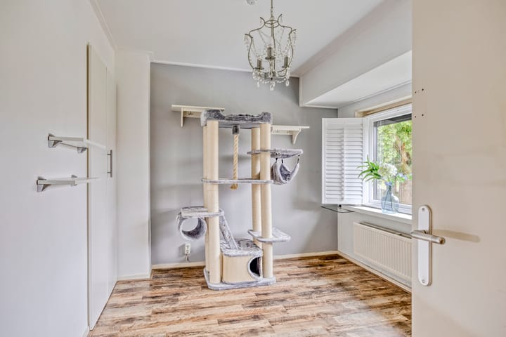 Foto 20 van Hugo de Grootstraat 12