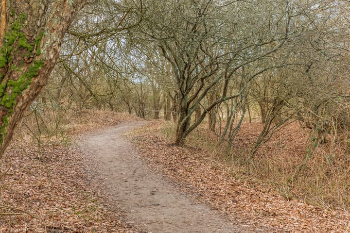 Photo 31 of Van Alkemadelaan 1016