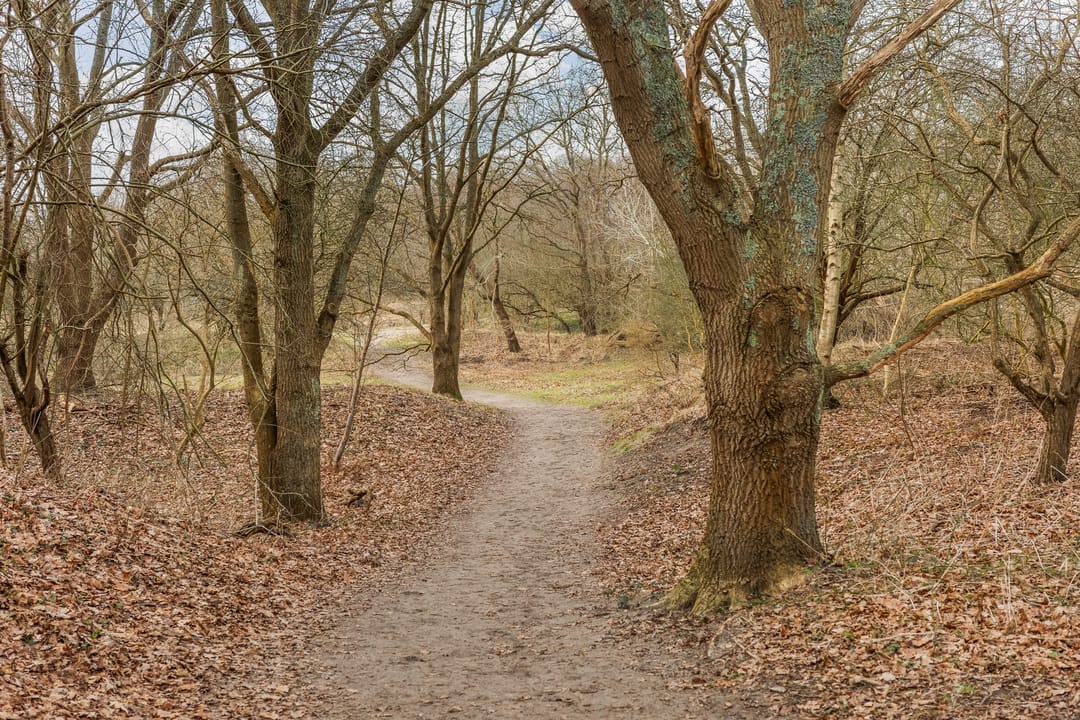 Foto 32 van Van Alkemadelaan 1016