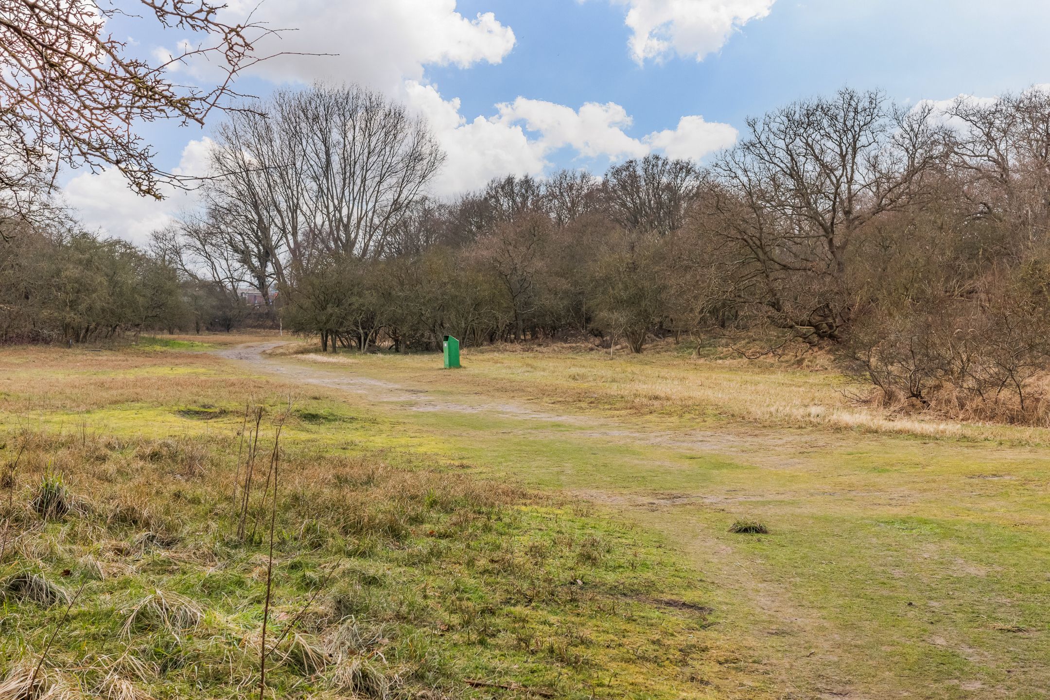 Foto 33 van Van Alkemadelaan 1016