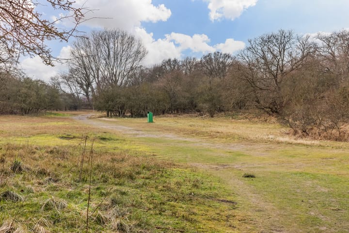 Photo 33 of Van Alkemadelaan 1016