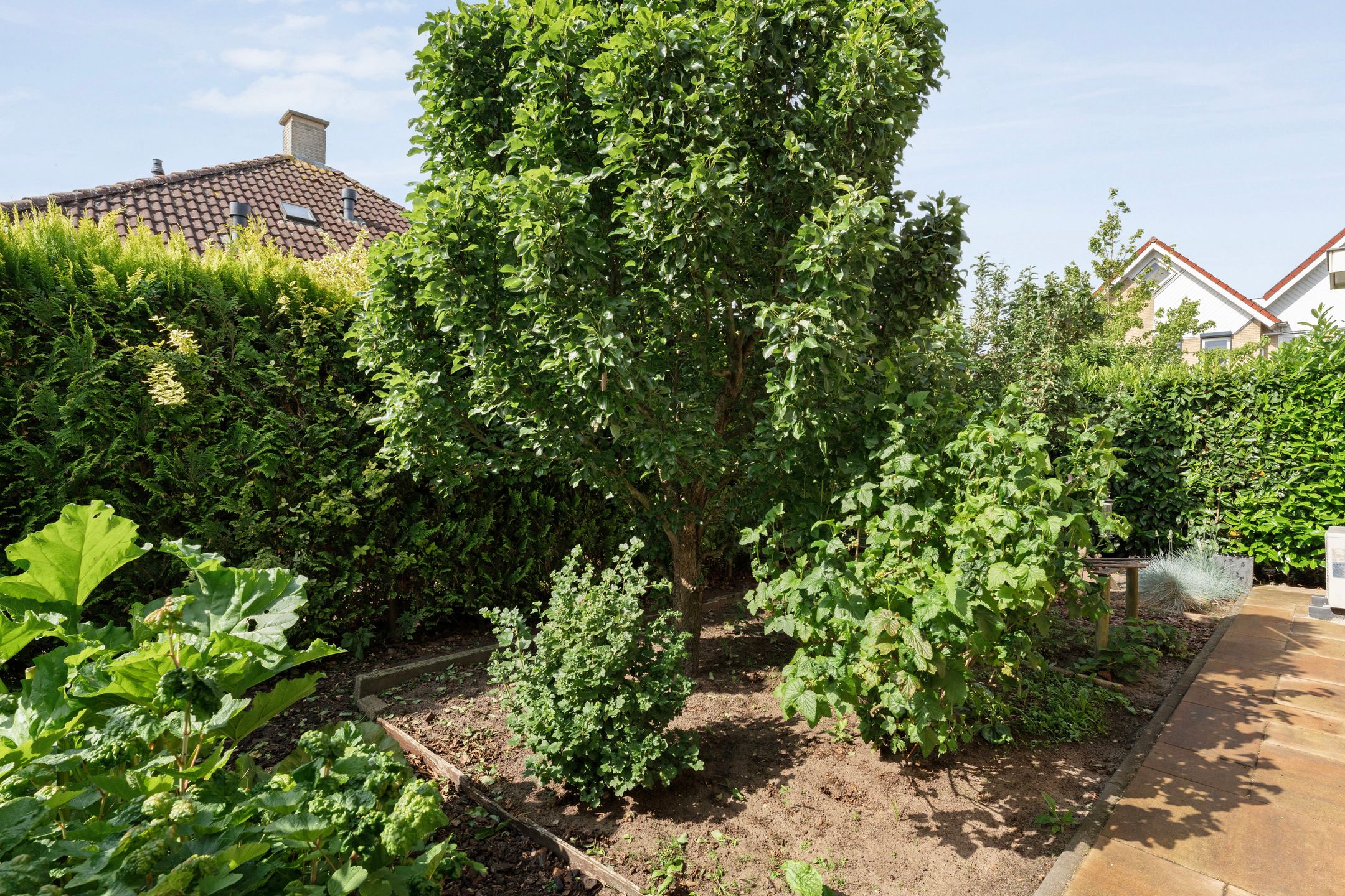 Foto 48 van Hendricus Krijthestraat 3