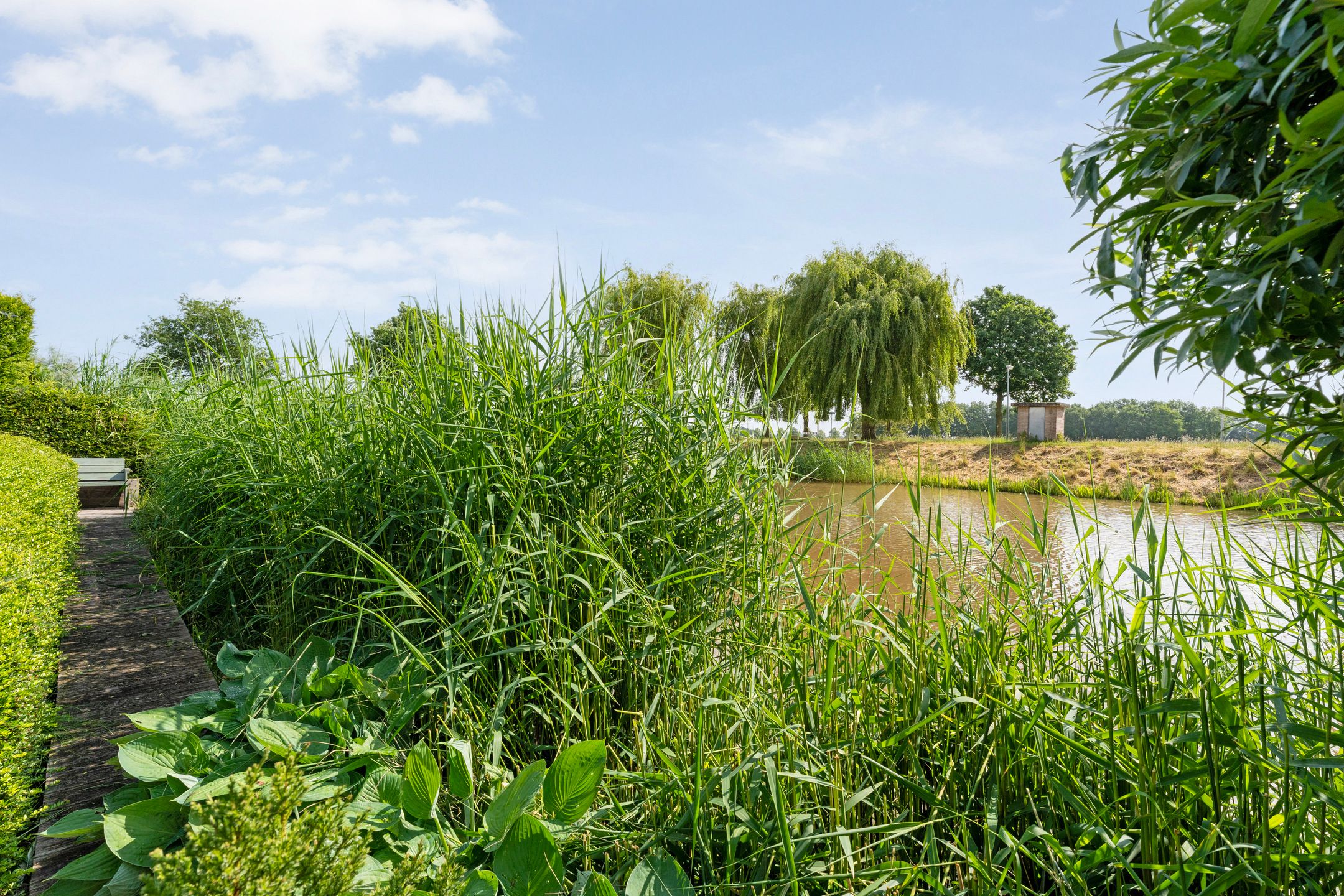 Foto 57 van Hendricus Krijthestraat 3