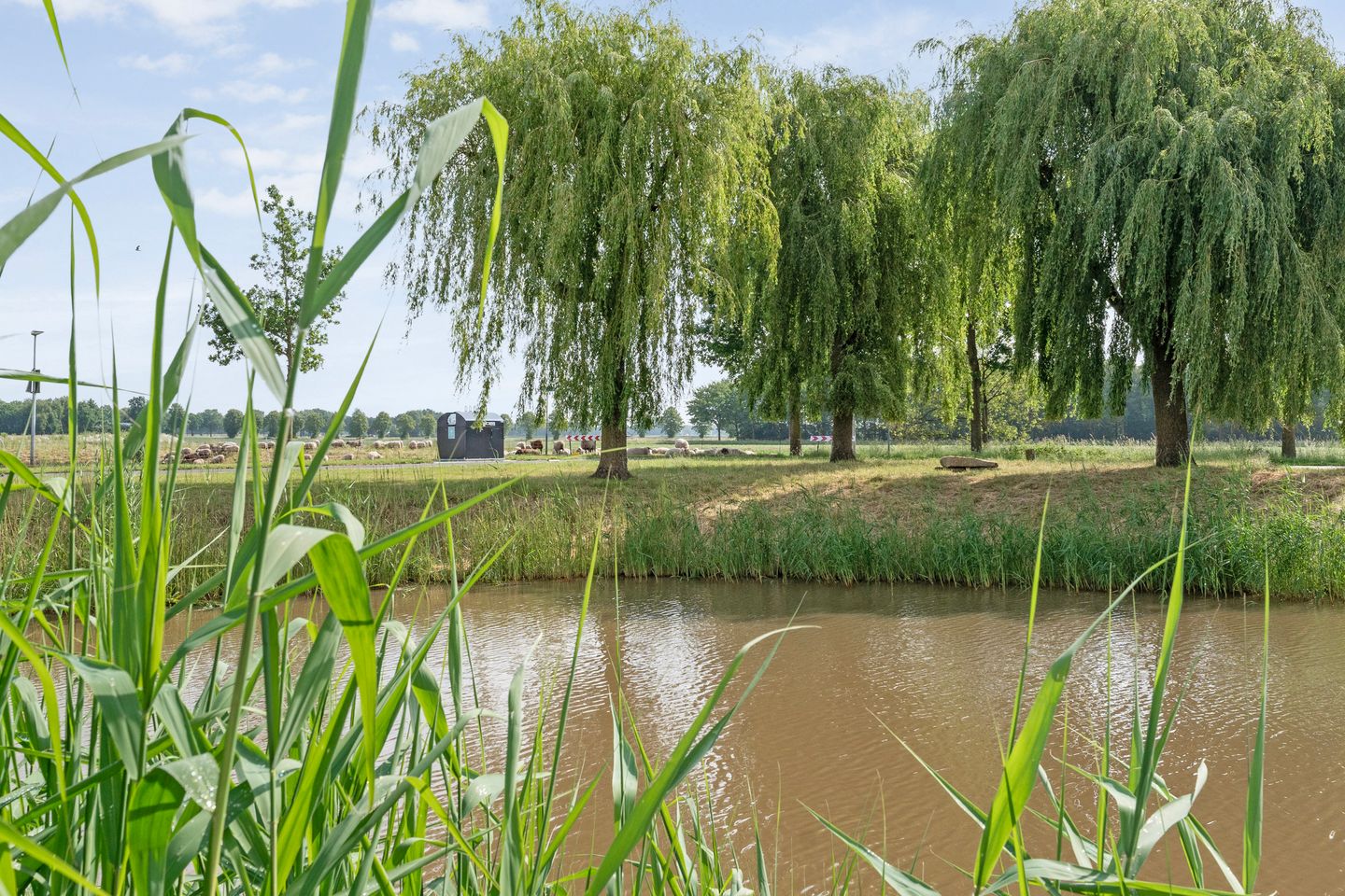 Foto 59 van Hendricus Krijthestraat 3