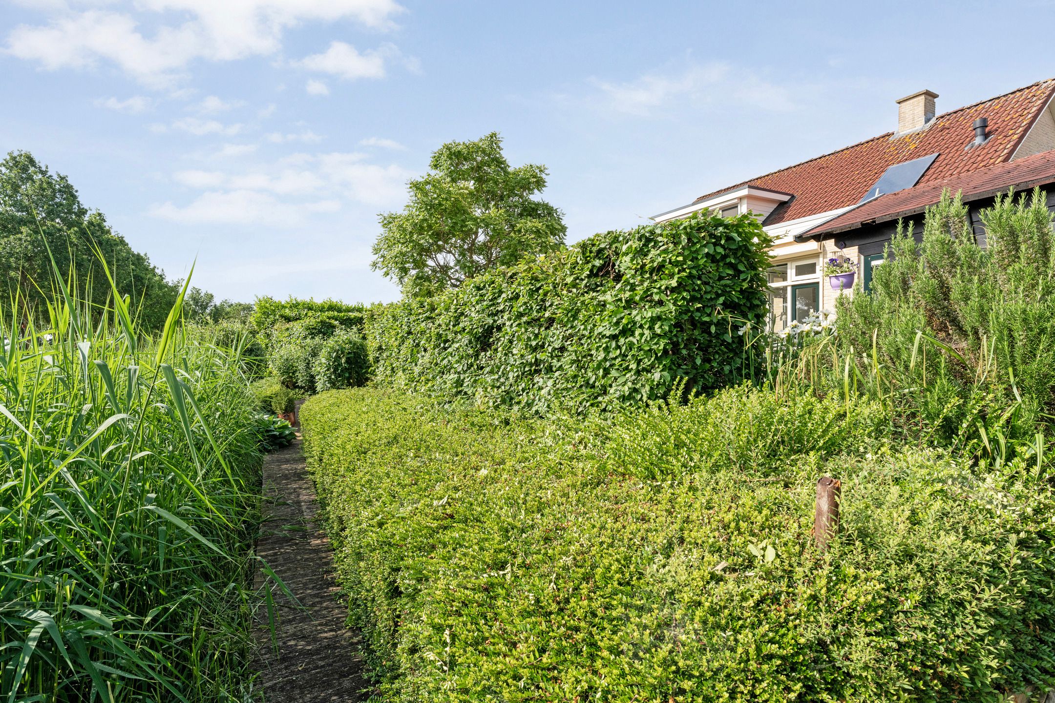 Foto 60 van Hendricus Krijthestraat 3