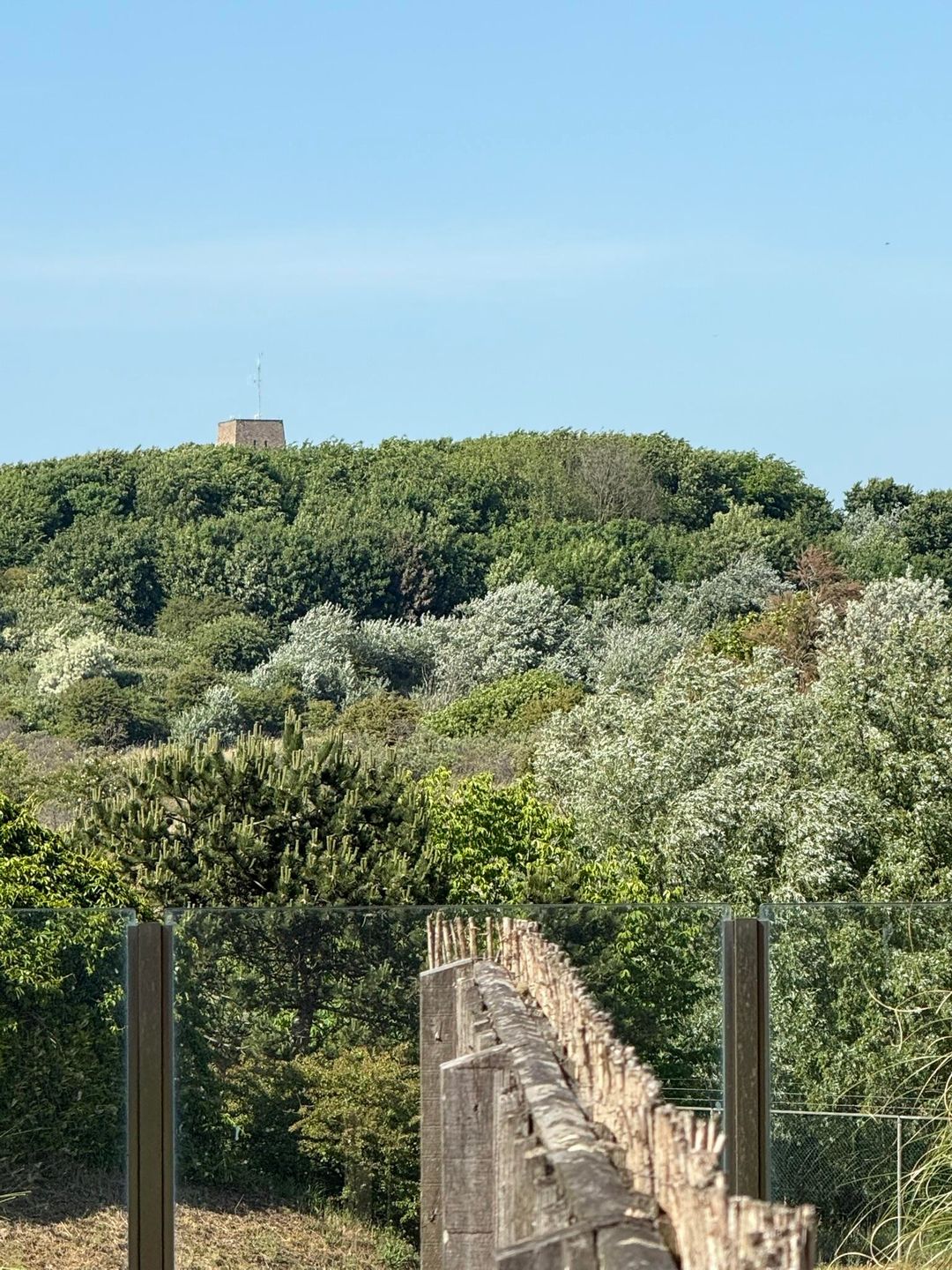 Photo 23 of Zwolsestraat 360