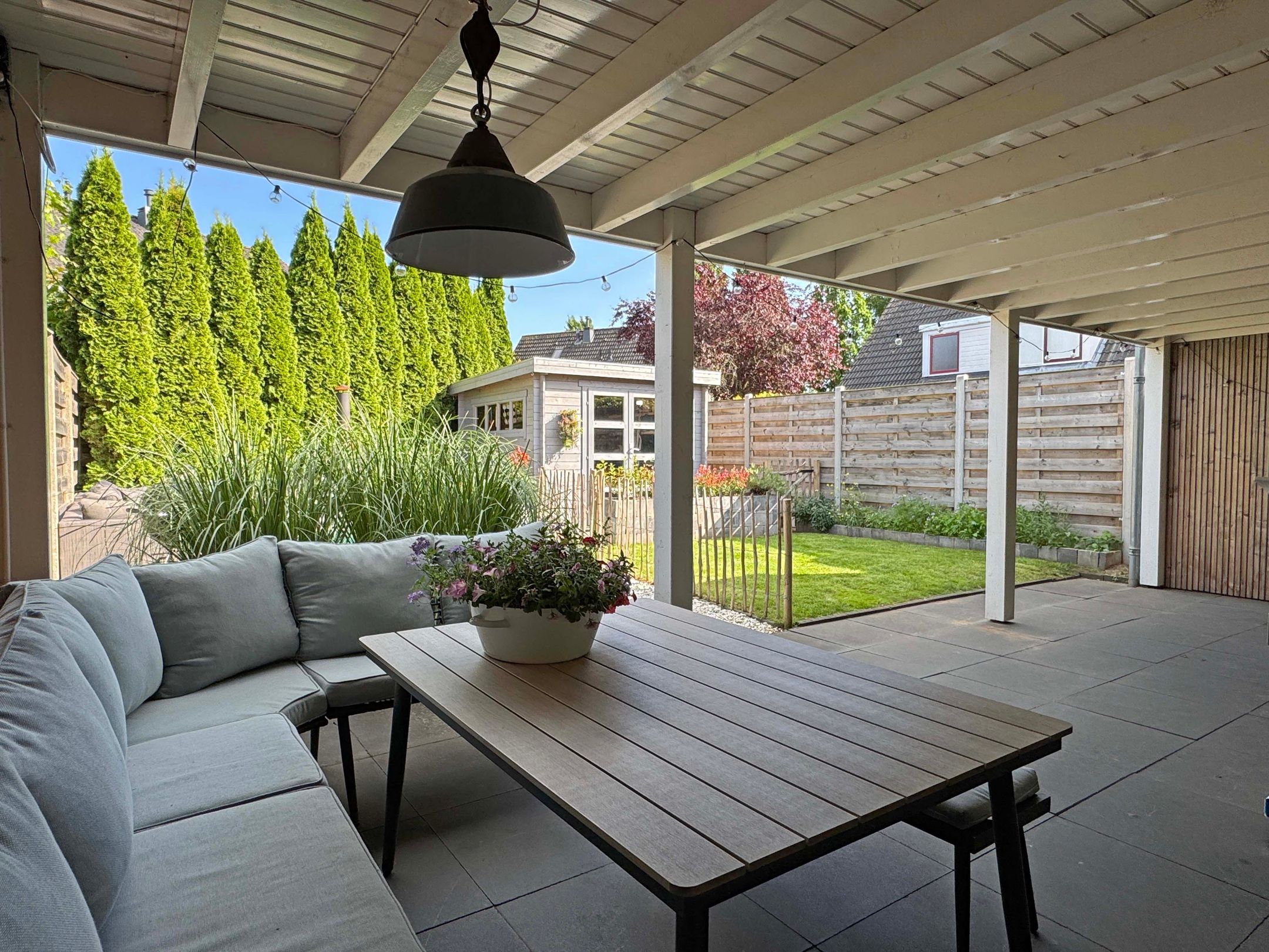 Foto 3 van Lijsterbes 2