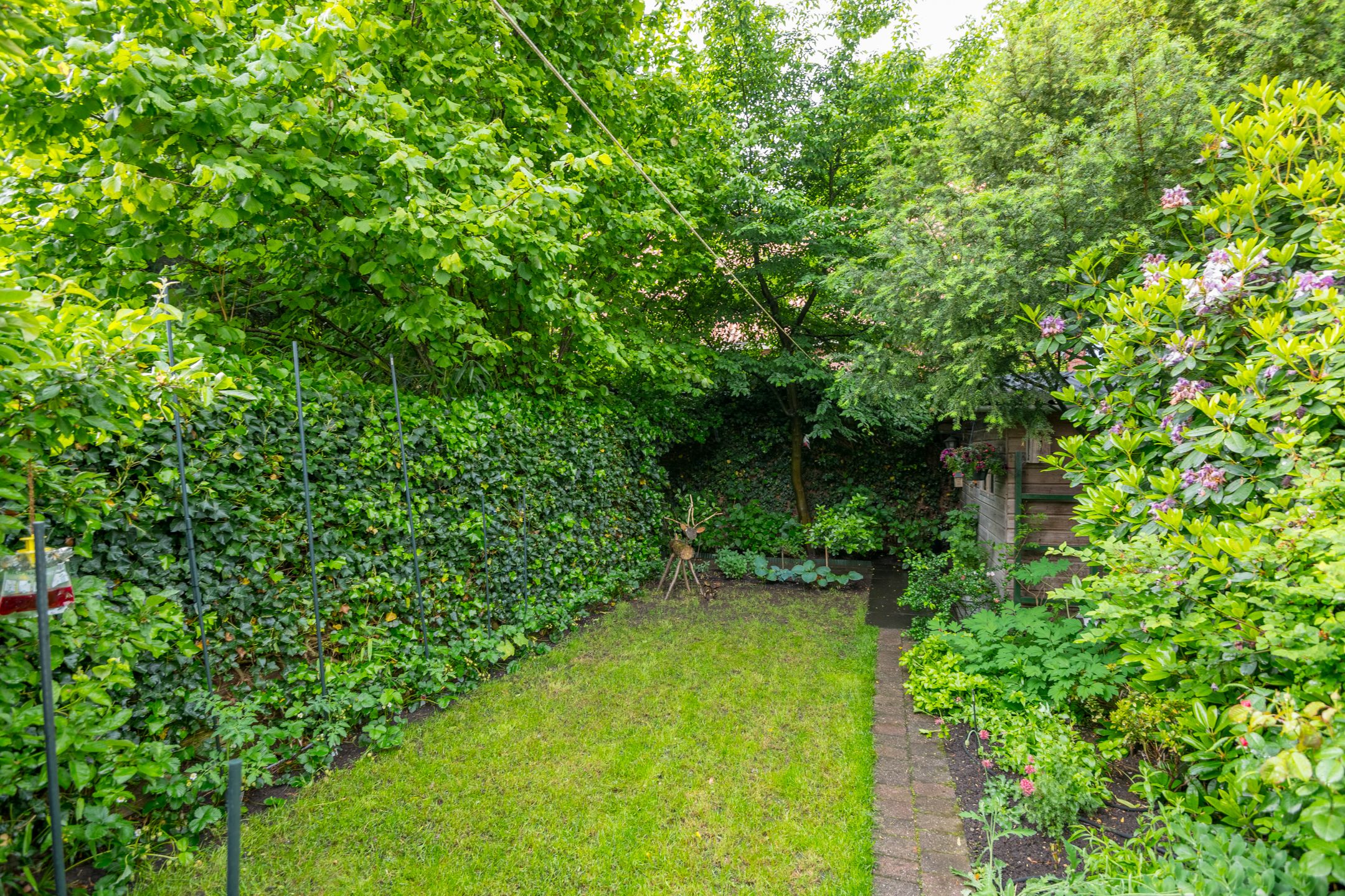 Foto 36 van Noteboomstraat 16