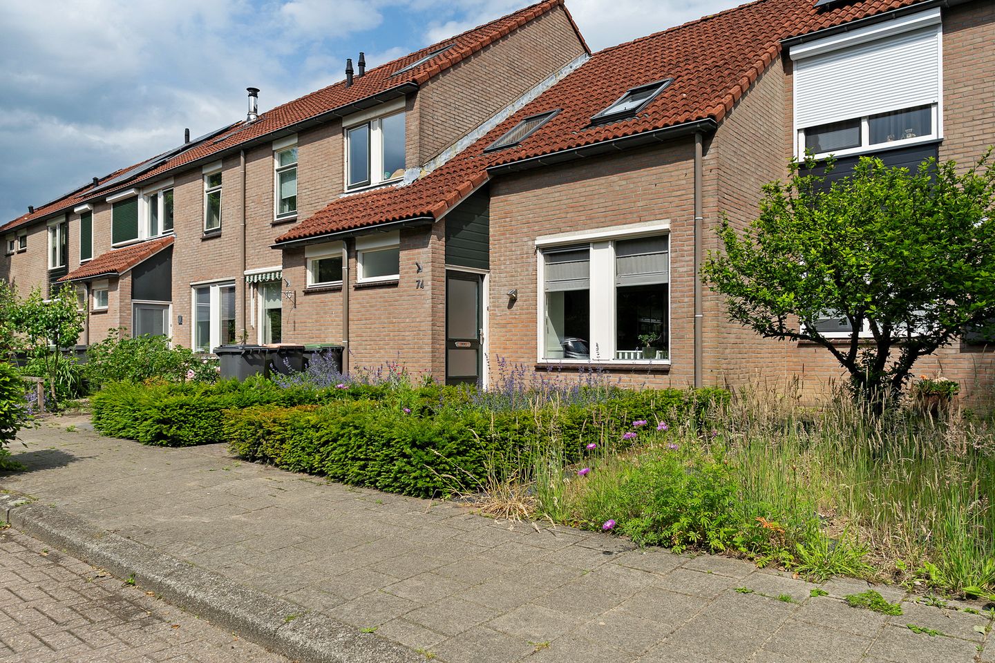 Foto 44 van Weerselosestraat 74