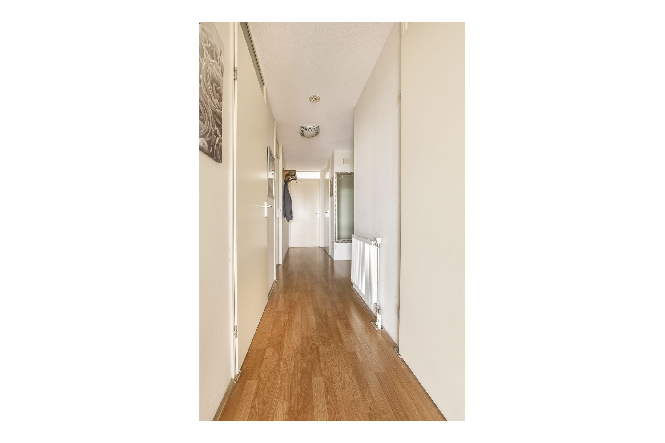 Photo 3 of Vliehors 16