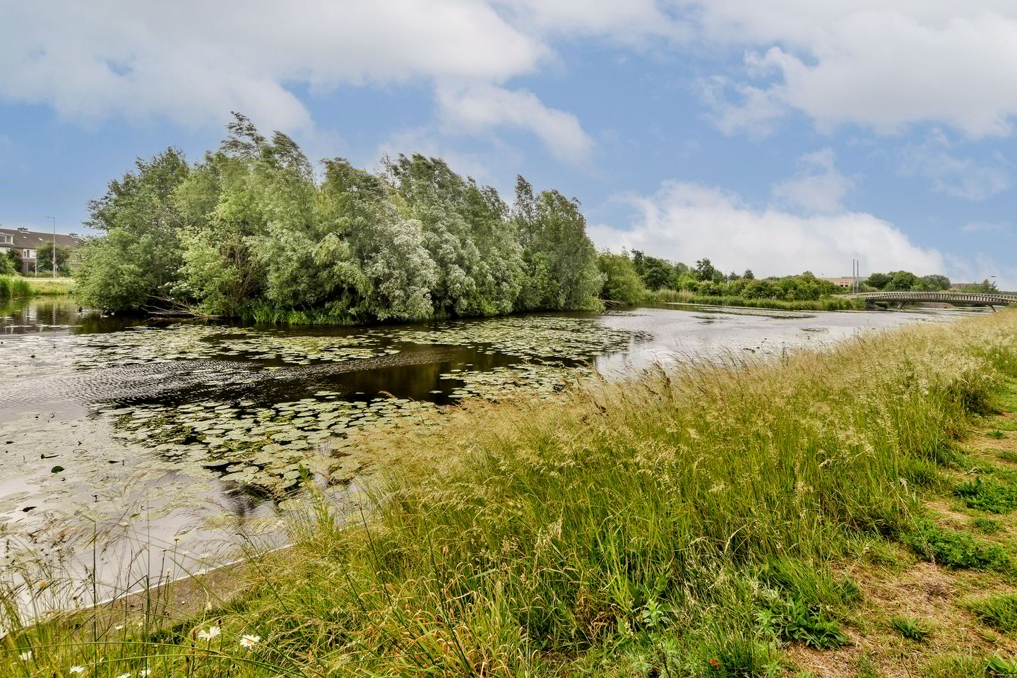 Photo 19 of Vliehors 16