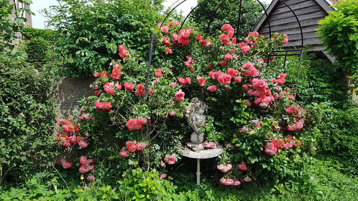 Foto 62 van Bogenstraat 18