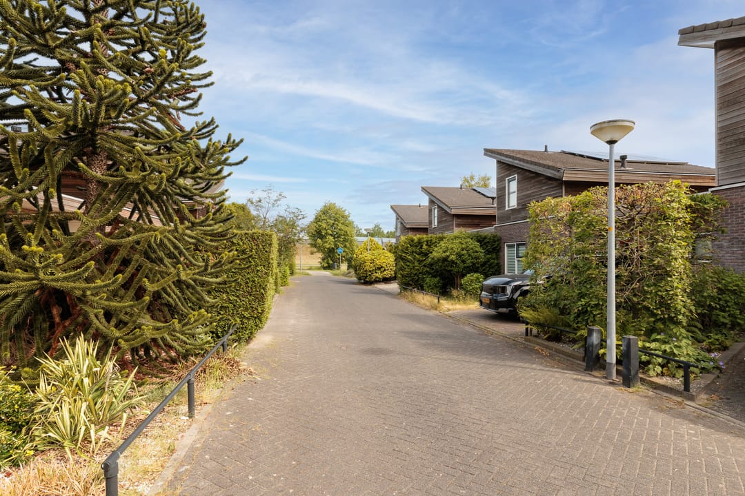 Foto 7 van Thérèse Schwartzestraat 67