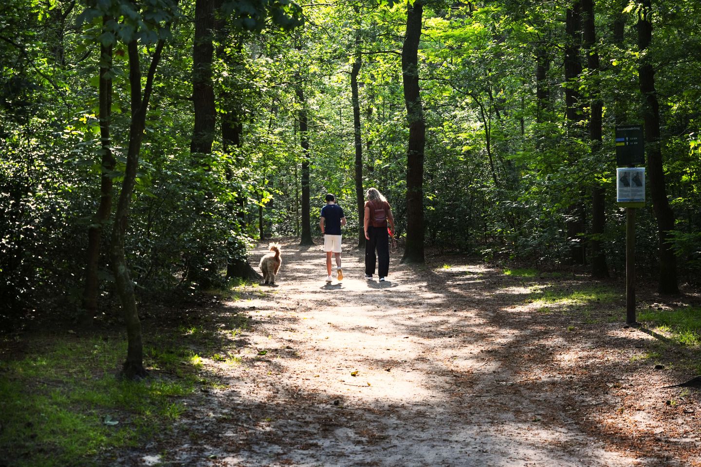 Foto 11 van De Bostuin