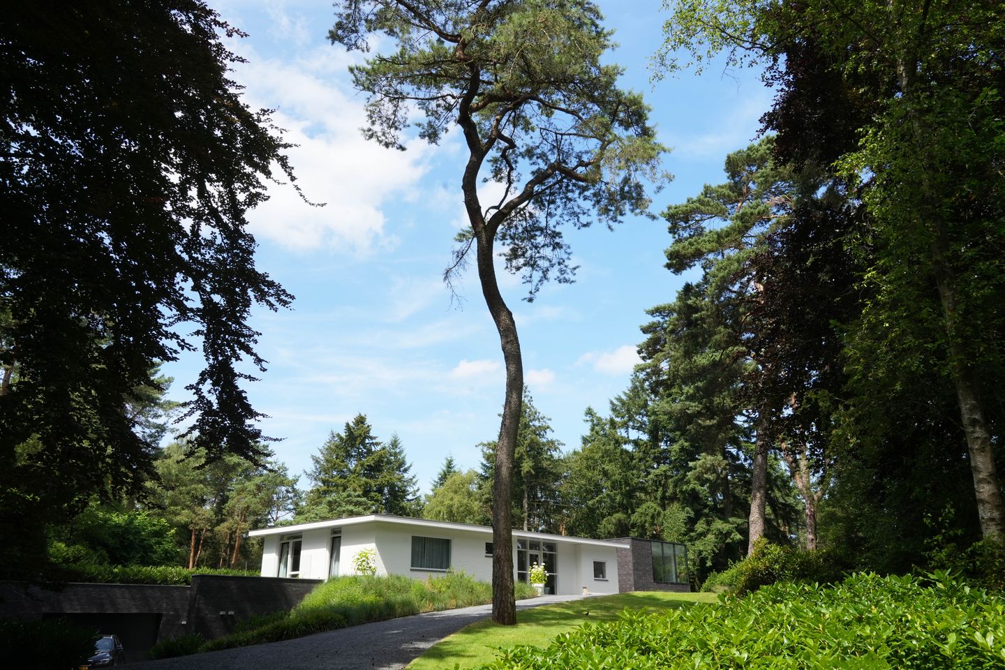 Foto 14 van De Bostuin