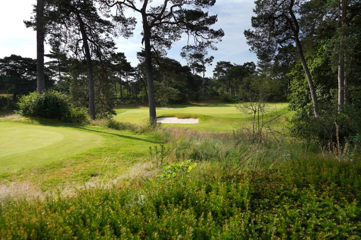 Foto 15 van De Bostuin