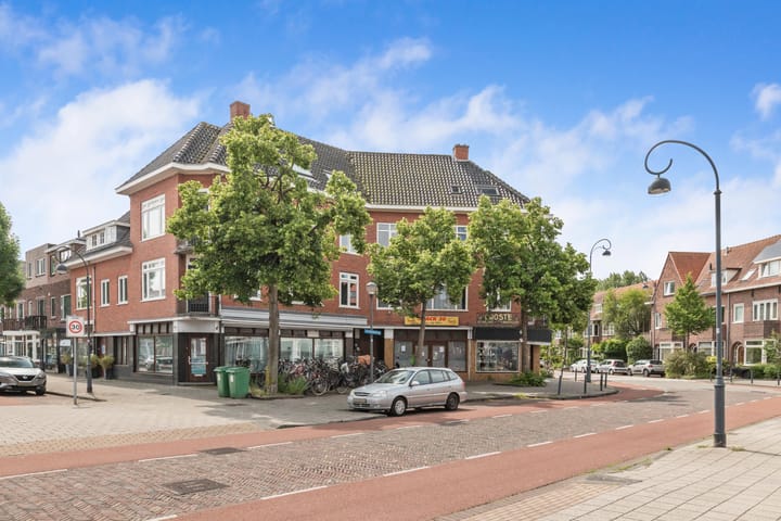 Foto 38 van Jan Haringstraat 95