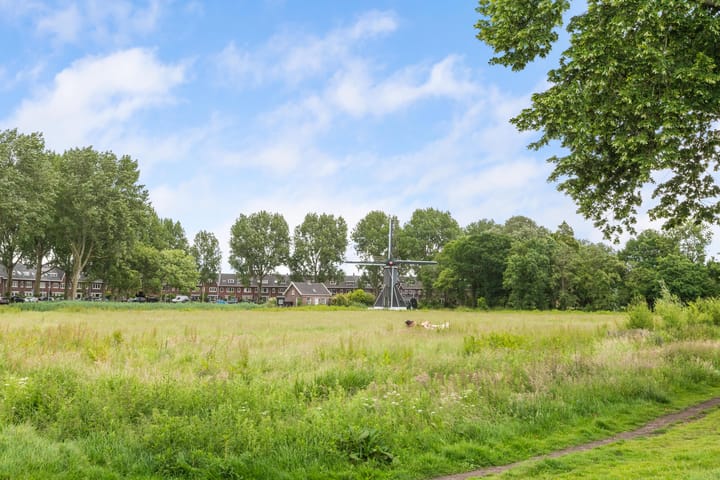 Foto 42 van Jan Haringstraat 95