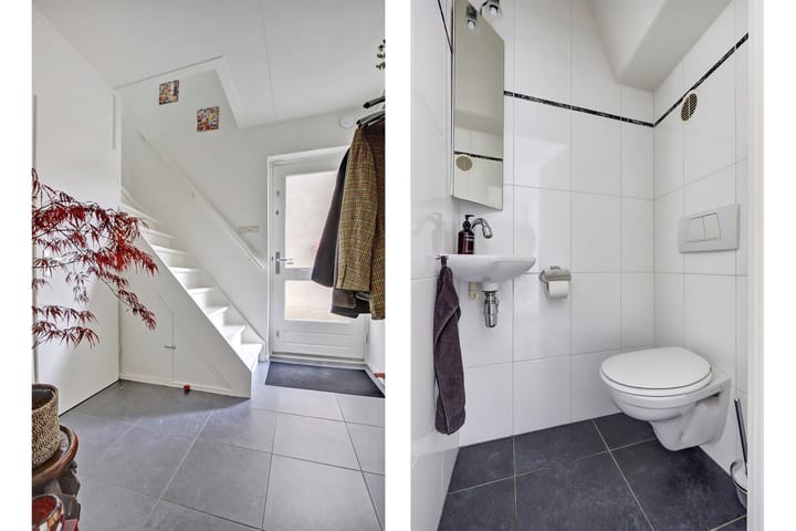 Foto 5 van Rietdekker 46