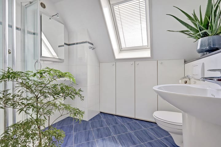 Foto 27 van Rietdekker 46