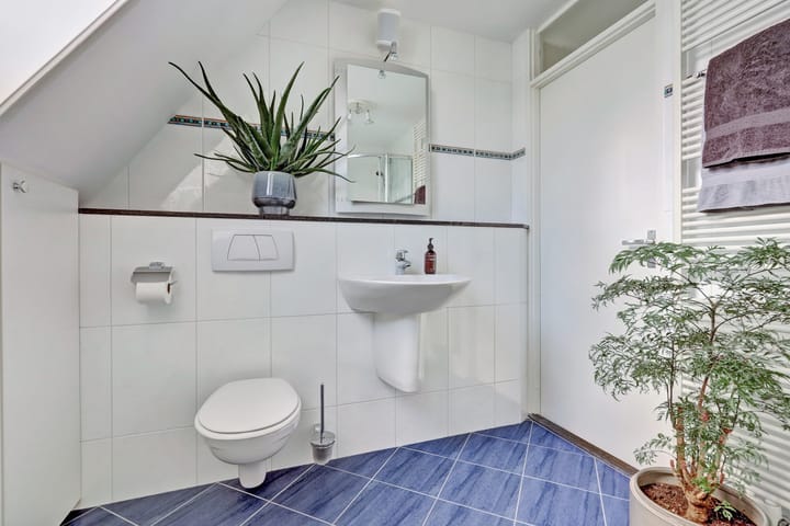 Foto 29 van Rietdekker 46