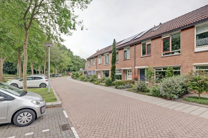 Foto 31 van Obrechtstraat 29