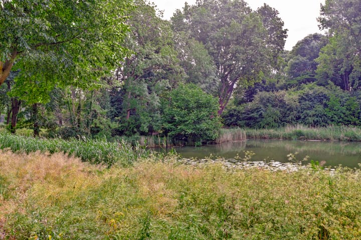 Foto 34 van Obrechtstraat 29