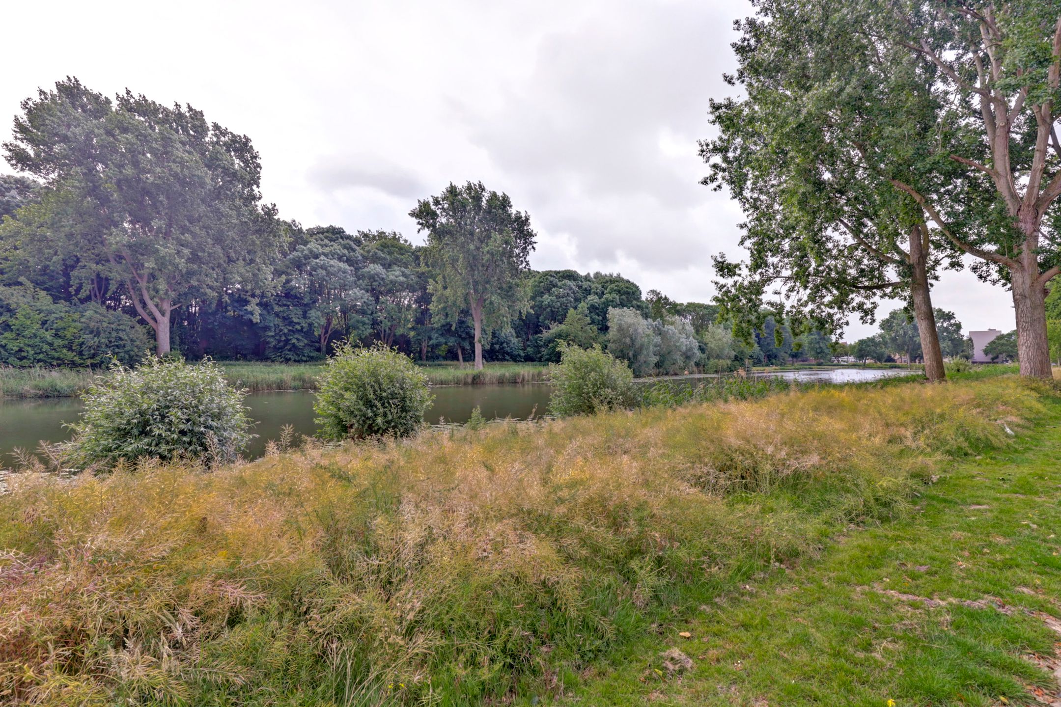 Foto 36 van Obrechtstraat 29