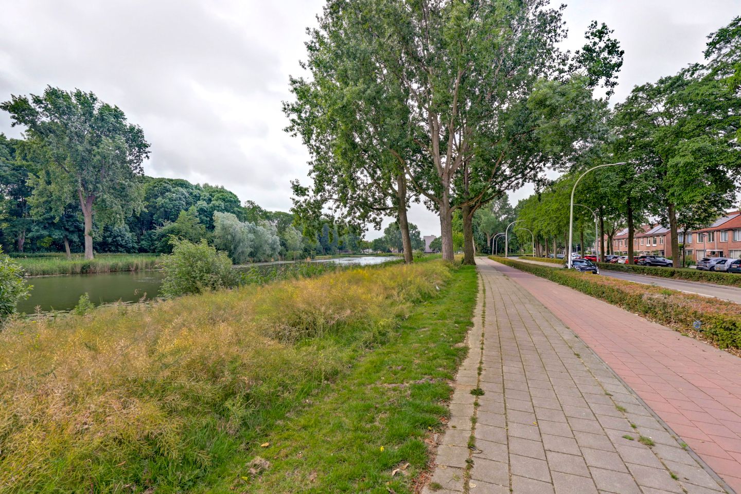 Foto 35 van Obrechtstraat 29