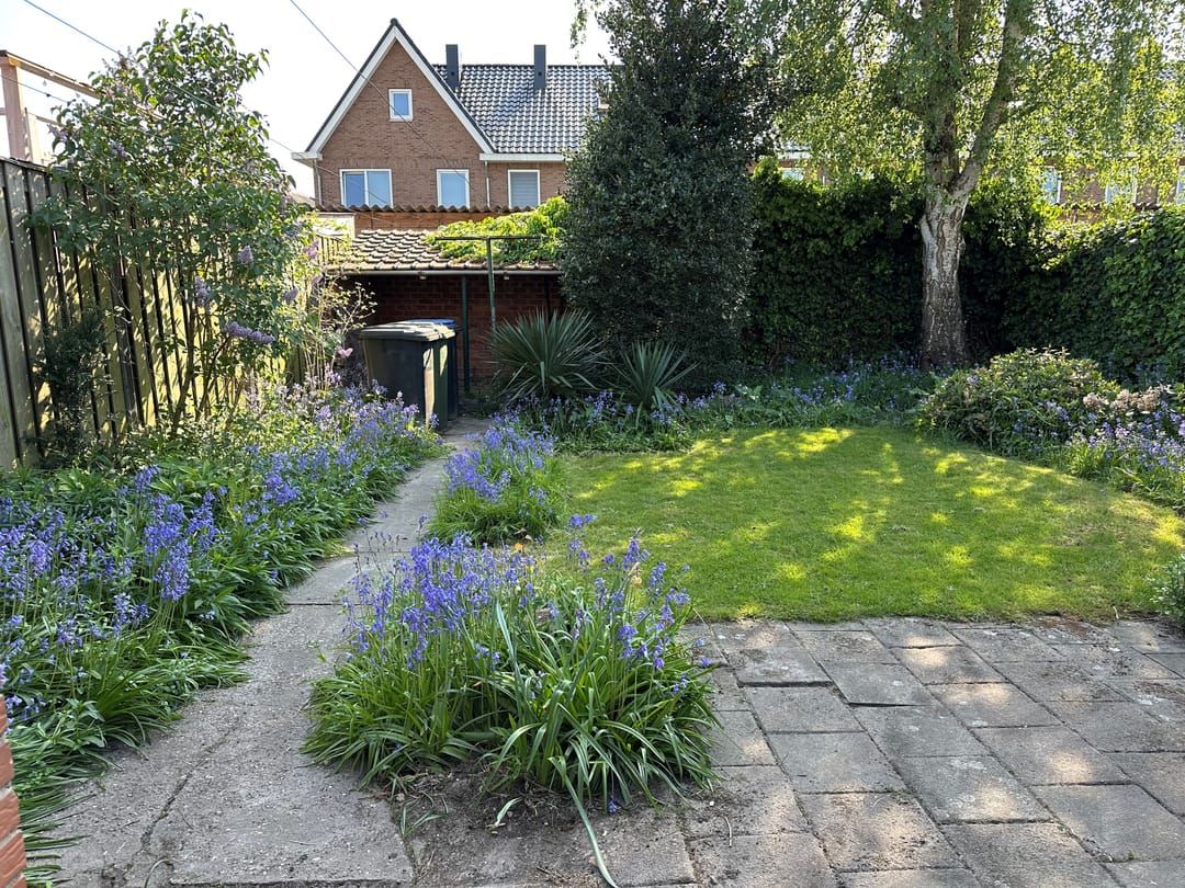 Foto 22 van Visserijstraat 30