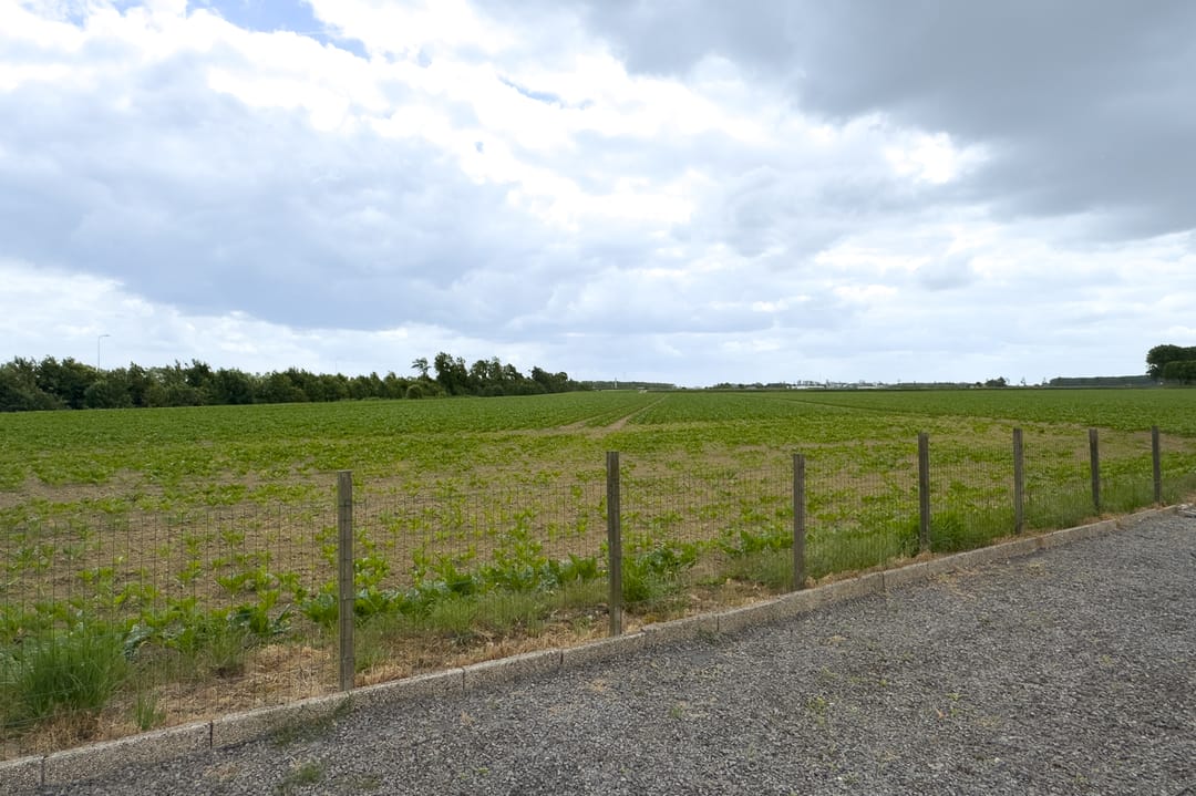 Foto 41 van Zandstraat 7