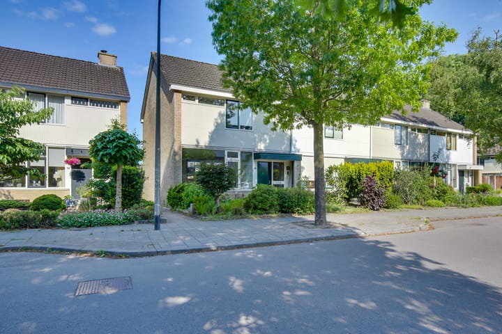 Foto 6 van Schierstins 70