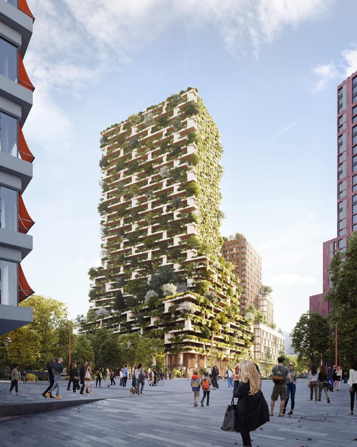 Foto 1 van Wonderwoods